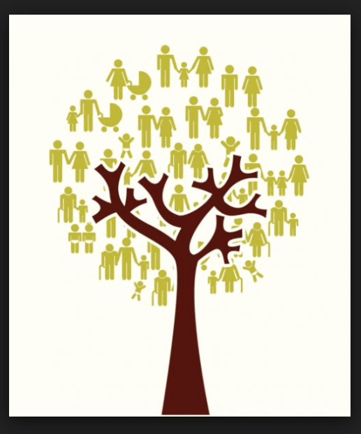 Screenshot 2018-11-14 at 9.29.04 AM